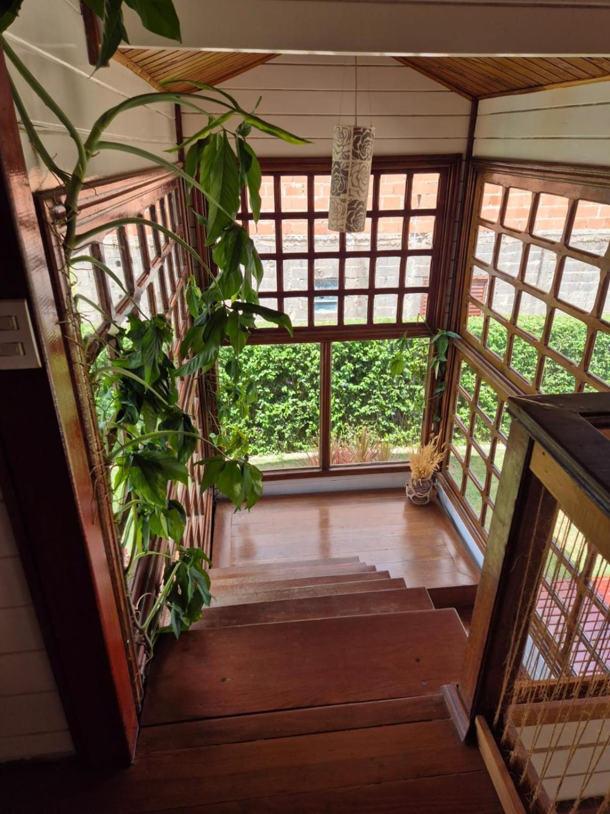 Casa Raizes - *